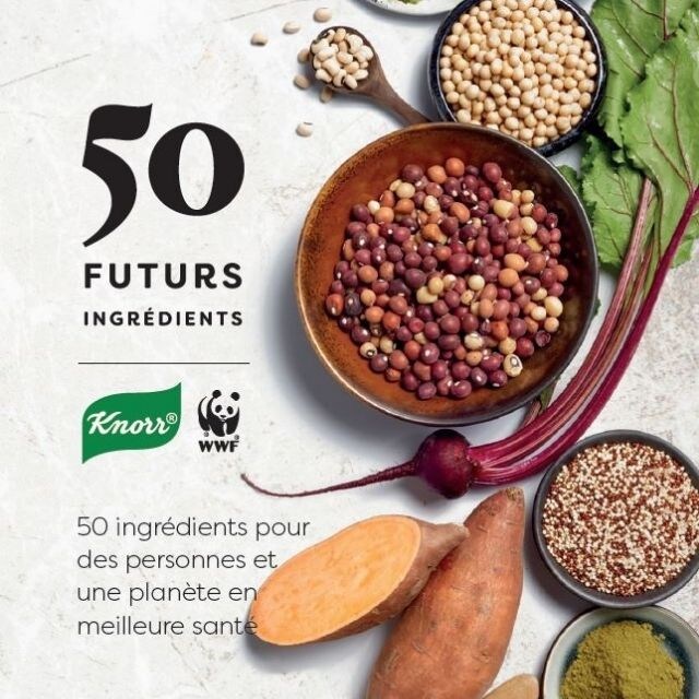 Téléchargez le Rapport des 50 Futurs Ingrédients